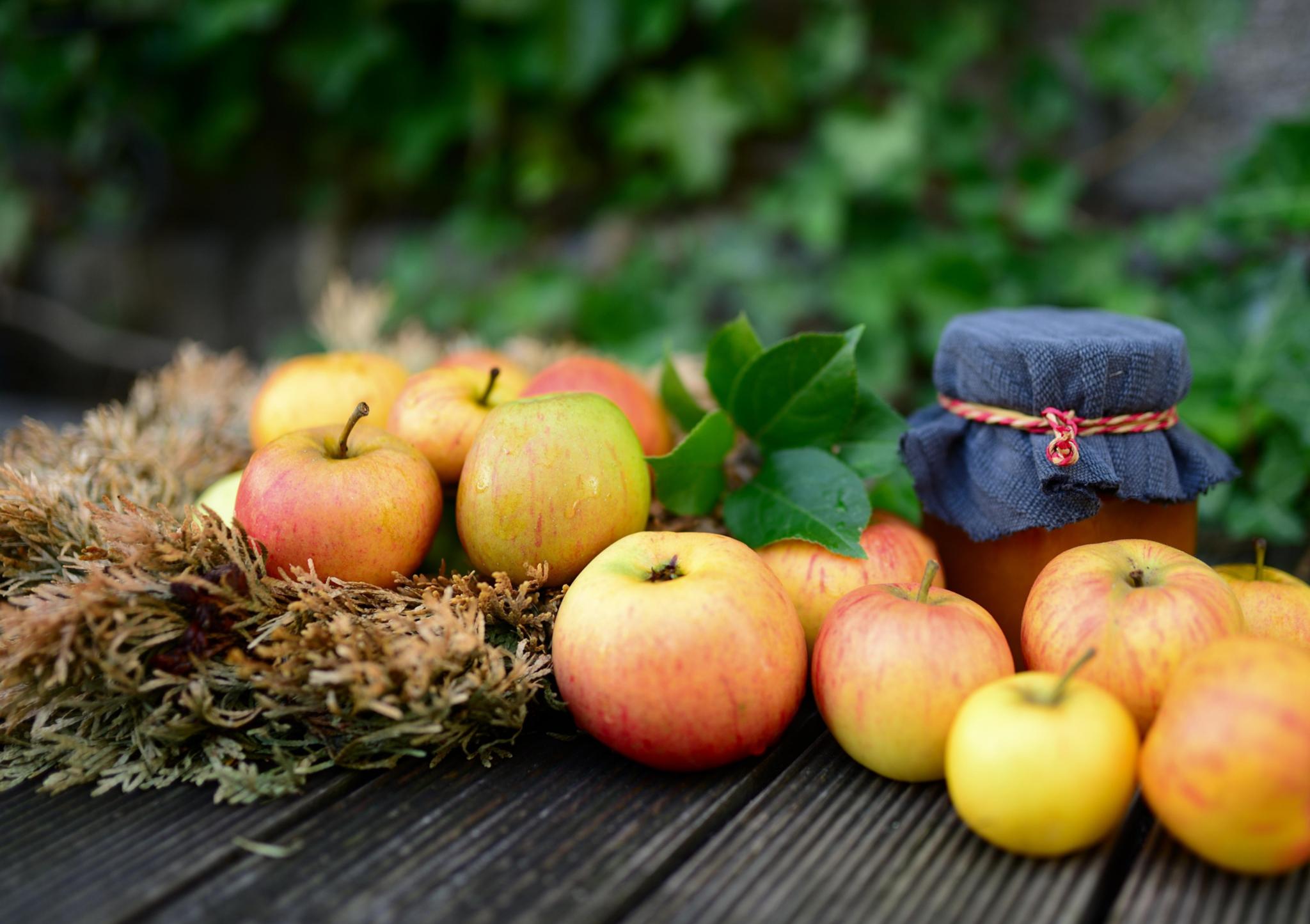 apples-5543778_by_congerdesign_pixabay_pbs