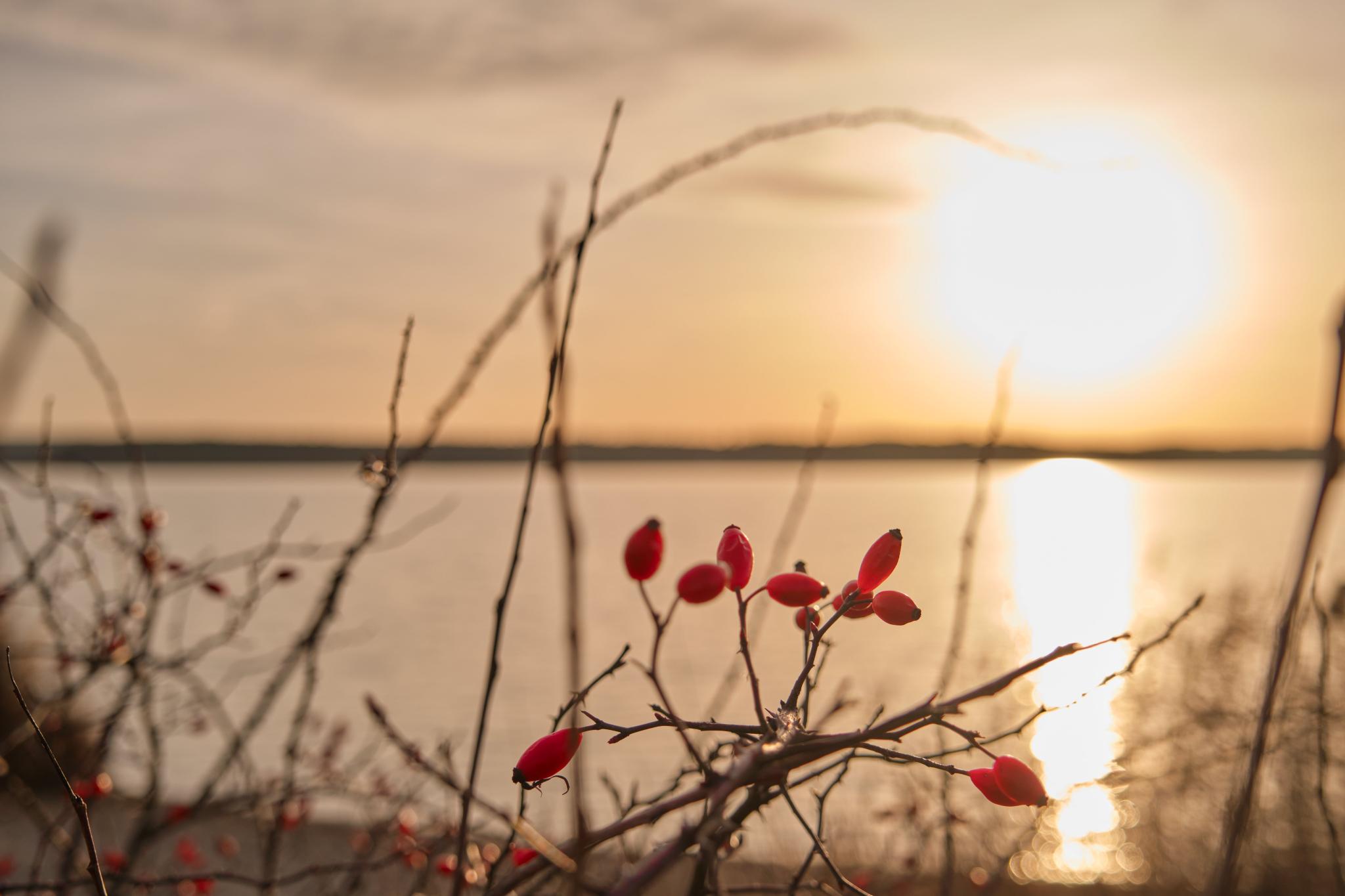 sonnenuntergang_by_andreas_kroener_pfarrbriefservice