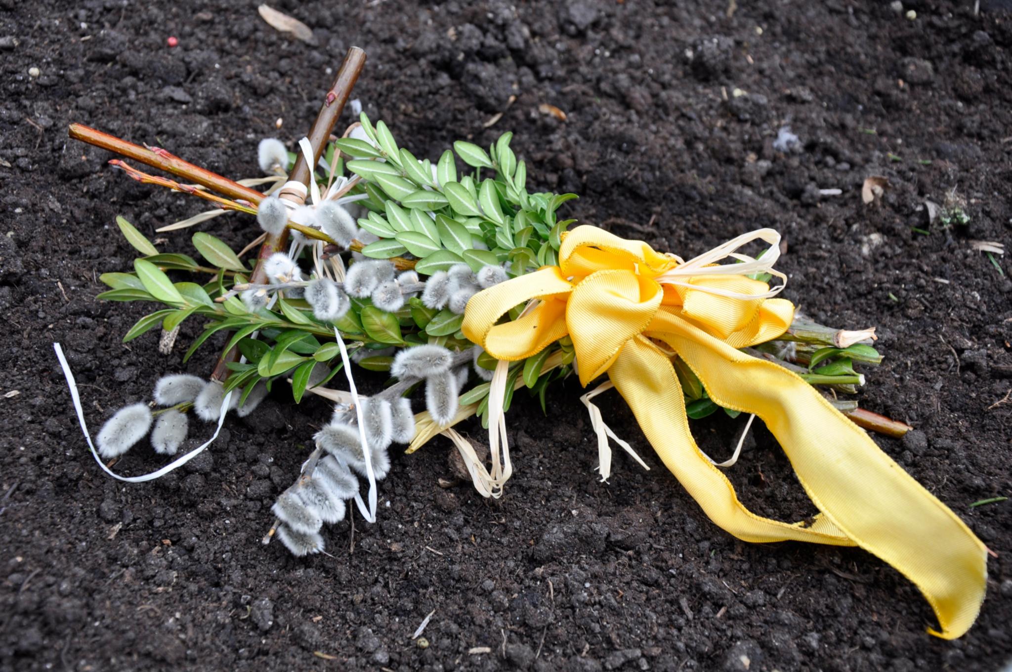 _dsc0187_by_christine_limmer_pfarrbriefservice (1)