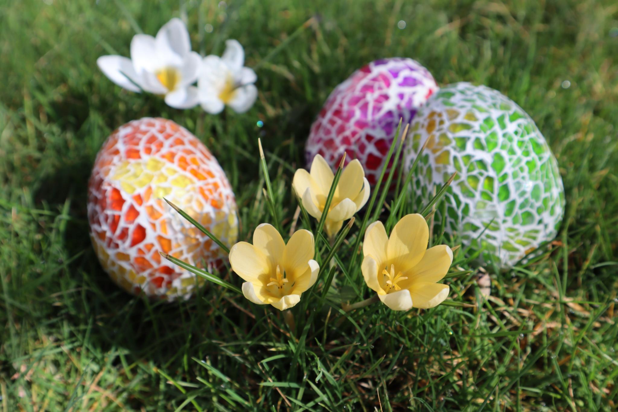 img_2111_by_anja_treffler_pfarrbriefservice