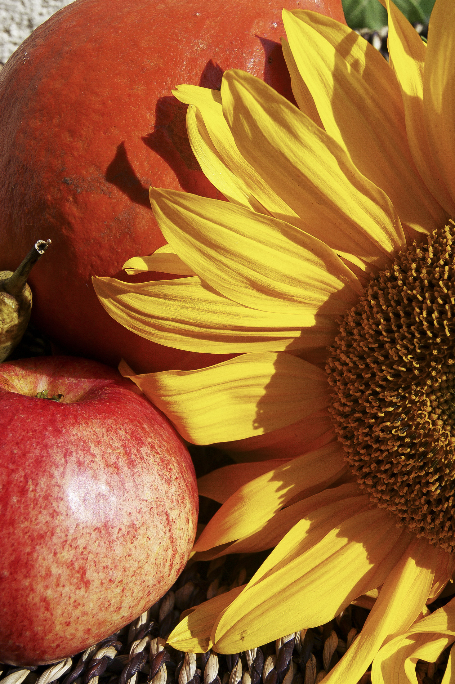 17193_herbst_005_by_martha_gahbauer_pfarrbriefservice