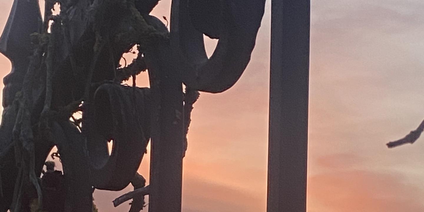 Liebe Schwestern und Brüder!