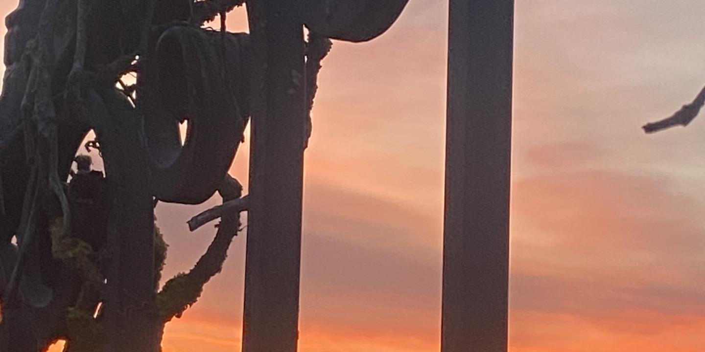 Liebe Schwestern und Brüder!